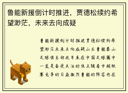 鲁能新援倒计时推进，贾德松续约希望渺茫，未来去向成疑