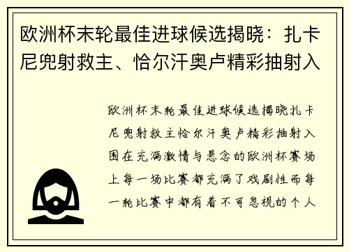 欧洲杯末轮最佳进球候选揭晓：扎卡尼兜射救主、恰尔汗奥卢精彩抽射入围