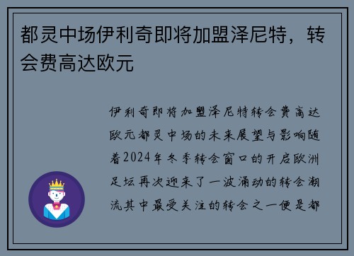 都灵中场伊利奇即将加盟泽尼特，转会费高达欧元