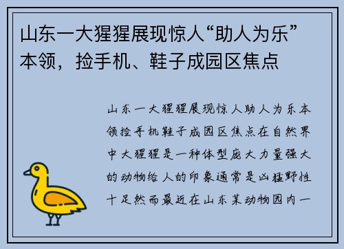 山东一大猩猩展现惊人“助人为乐”本领，捡手机、鞋子成园区焦点